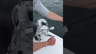 Big one taking drag and towing the boat garmin fishing bluefintuna shimano alutecnos grundens [upl. by Sirovart]