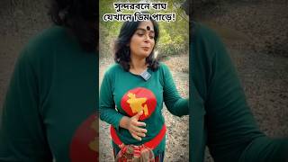 সুন্দরবনের সবচেয়ে ভয়ংকর জায়গা shorts foryou ytshorts bangladesh [upl. by Eniawtna]