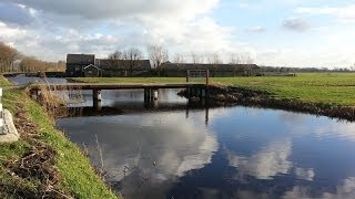 Snoeken in Polder de Ronde Venen Live aanbeten [upl. by Yenruoj]