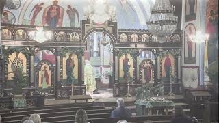 May 19 2024 Divine Liturgy Saint Ann Byzantine Catholic Church [upl. by Nyladnek218]