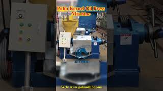 Palm Kernel Oil Press Machine palmkerneloilpalmoilmill palmoilplantation palmoil palmoilmachine [upl. by Nekial]