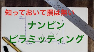 特別講義 ナンピン ピラミッティング トレード手法 [upl. by Lorianne]