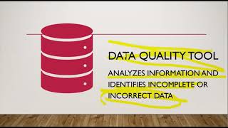 HMIS Data Quality [upl. by Merrile]