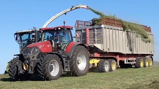 Landwirtschaft auf Gut Hohen Luckow ackern vom FrühjahrHerbst für mehr als 2500 Kühe🐄🌾🐄 [upl. by Aynatan238]