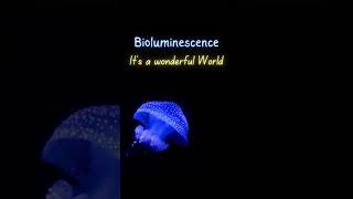 Bioluminescence  Comb Jelly  Marine Life  shorts nature wildlife animalbehavior biofacts [upl. by Eidnalem]