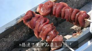 抗火石木炭コンロで炭火焼き 親鳥串など4種類の焼き鳥焼いてみた！後編 [upl. by Linad418]