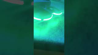 Dji Avata 2  LED LIGHT light strip fpv drone dji avata2 djiavata2 custom upgrade [upl. by Aniar]