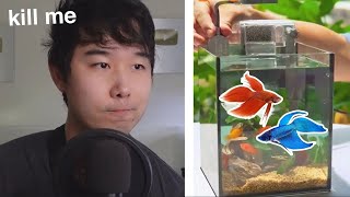 Community Tank with TWO BETTAS  Fish Tank Review 199 [upl. by Zoeller199]