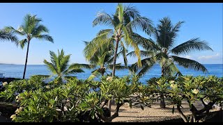 6 minutes of peaceful dawn on the Kona coast [upl. by Aurlie]