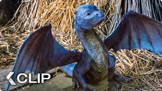 Feeding A Dragon Movie Clip  Eragon 2006 [upl. by Harding]