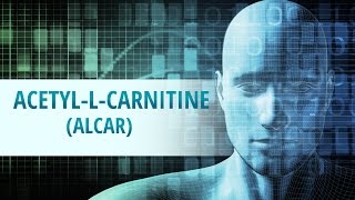 AcetylLCarnitine ALCAR [upl. by Iorgos]