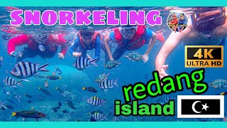 4K VIDEO SO YOU CAN SEE THE FISH  Snorkeling Trip Redang Island 2022 [upl. by Booma]