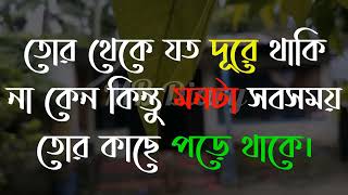 Life Changing Motivational Quotes Bengali  Monishider Bani Kotha MB Diary 46 [upl. by Asyen675]