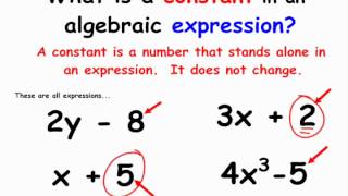 Basic Algebraic Vocabulary [upl. by Mendy]