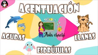 Acentuación  Palabras agudas llanas y esdrújulas  Aula chachi  Vídeos educativos para niños [upl. by Kraul]