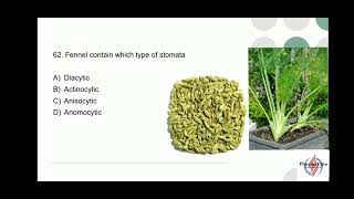 Pharmacognosy MCQ 51  75  Pharma MCQnest by PharmaElite [upl. by Fugazy193]