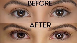 Discover the Magic of Lash Lift amp Tint Before and After Results [upl. by Trilbie466]