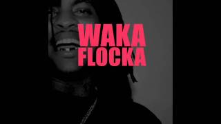 Waka Flocka Flame  Ballin Out Directed by Court Dunn [upl. by Zennie]