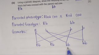 G12 BIOLOGY PAPER 2 2017 GCE GENETIC DIAGRAM Q5 [upl. by Court]