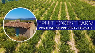 FRUIT FOREST FARM  PROPERTY FOR SALE IN CENTRAL PORTUGAL ORCHARDS PONDS AND MORE [upl. by Doughman]