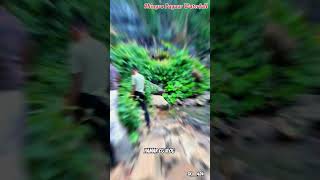 Chingra Pagar Waterfall Gariaband Chhattisgarh ।। cgblogger youtubeshorts shortvideo [upl. by Kirt]