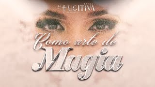 Como Arte De Magia VIDEO OFICIAL  La Fugitiva De Mike Miramontes [upl. by Burnard]