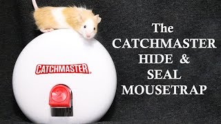 The CATCHMASTER Hide amp Seal Mousetrap Mousetrap Monday [upl. by Kcirddehs395]