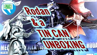 SHMonsterArts Mechagodzilla Garuda amp Fire Rodan Makuhari Decisive Battle Ver Set UNBOXING [upl. by Erdnaxela984]