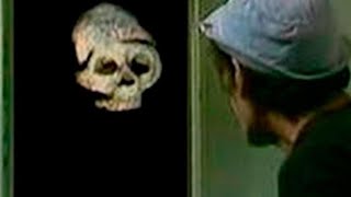 La Venganza De Don Ramon Trailer spanish video [upl. by Phenice]