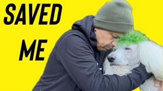 I Passed Out During Dog Training SERVICE DOG SAVES OWNER [upl. by Aubyn]