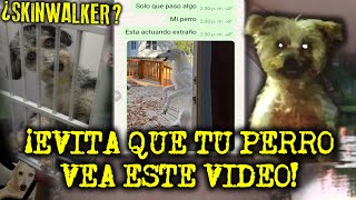 ¡EVITA QUE TU PERRO VEA ESTE VIDEO  RELATOS DE PERROS ACTUANDO COMO HUMANOS SKINWALKERS [upl. by Yojenitsirk692]