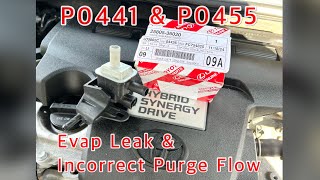 Toyota Camry Evap System Incorrect Purge  How To Test Evap System amp Replace  Code P0441 amp P0455 [upl. by Joanne]