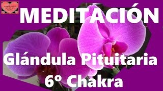 MEDITACIÓN Glándula pituitaria 6º Chakra [upl. by Leasim]