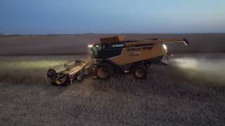 Canola harvest 2023 [upl. by Watters]