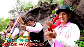 ALABANZA EN QUECHUA ARPA Y VIOLÍN DESDE WARI AYACUCHO [upl. by Kravits561]