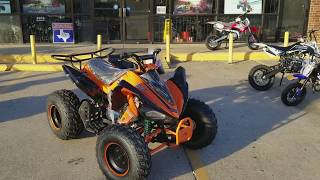 169cc sporty quad new 2017 on sale  review  overview [upl. by Ermin191]