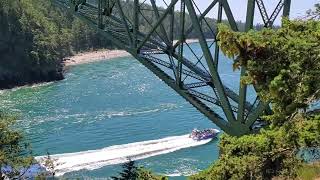 Boating During Tide Rushing In Deception Pass Bridge Washington State Route 20 Whidbey Island [upl. by Effy]