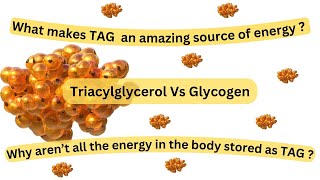 Triacylglycerol an amazing source of energy Two sources of energy adapted to particular needs [upl. by Yelsnya]