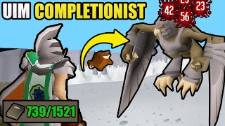 5 Years Later I Finally Completed This  UIM Collection Log Completionist 31 OSRS [upl. by Ruthi]