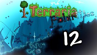 Terraria Polarities Mod Lets Play Episode 12 A Fractal Dimension Spelunkeration For Science [upl. by Eittel]