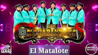 Los Contrabandistas 2018  El Matalote ♪ Huapango [upl. by Nancey]