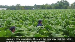 Pesticides A Farm Worker Perspective [upl. by Tedder]