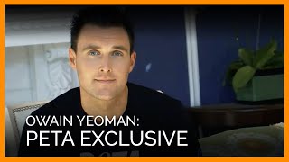 Owain Yeoman [upl. by Eulalie]