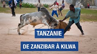 Tanzanie un voyage inattendu  Zanzibar  Kilwa  Pemba  Documentaire voyage  AMP [upl. by Burris277]