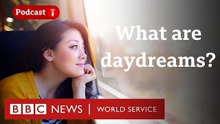 Why we daydream and what goes on in our brain when we do  CrowdScience podcast BBC World Service [upl. by Raynard]