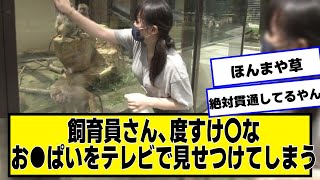 飼育員さん、テレビで見せつけてしまう【ネットの反応】美女bra [upl. by Sualokin]