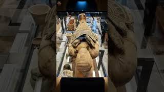 The Enigma of Pacheris Mummy [upl. by Byrom143]