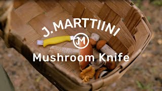 Marttiini Mushroom Knife [upl. by Cumings]