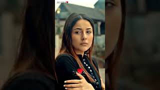 Shenaz Gill song  Sidnazz [upl. by Etnahsal]