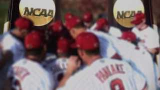 2014 South Carolina Baseball Intro [upl. by Jameson]